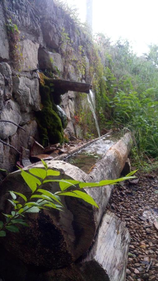 Hotel Rio Escabas, Serrania De Cuenca Каньямарес Экстерьер фото