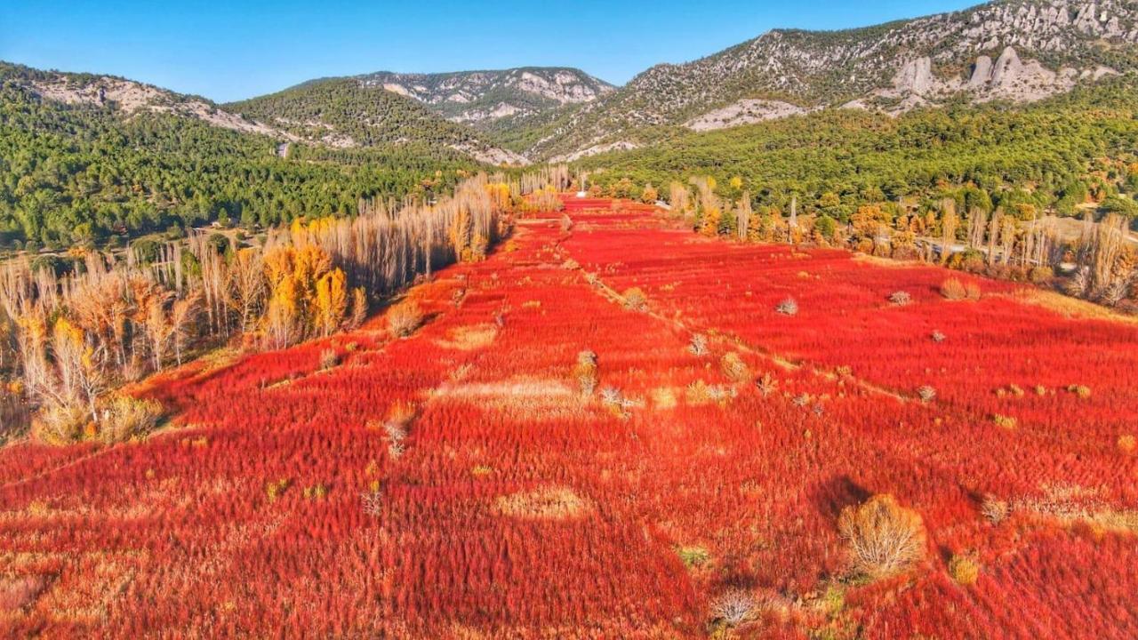 Hotel Rio Escabas, Serrania De Cuenca Каньямарес Экстерьер фото