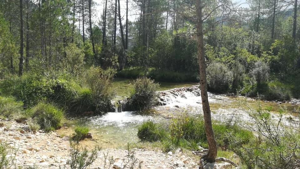 Hotel Rio Escabas, Serrania De Cuenca Каньямарес Экстерьер фото